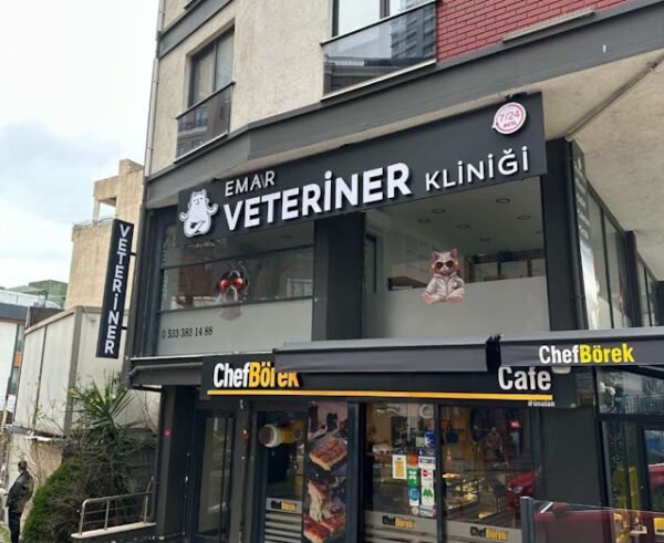 Paslanmaz Harf Veteriner Kliniği Tabelası